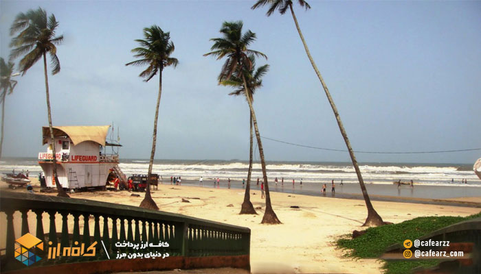 ساحل نخل هند