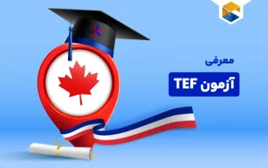 آزمون TEF