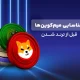 شناسایی میم‌کوین‌های ترند